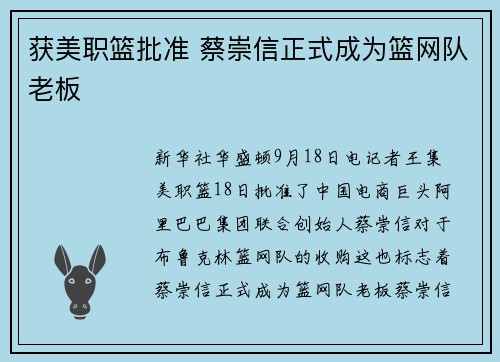 获美职篮批准 蔡崇信正式成为篮网队老板